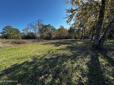 TRUE WATERFRONT DEEP WATER ACCESS PROPERTY ON THE PASCAGOULA - photo 3