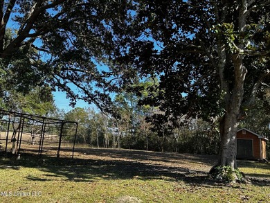 TRUE WATERFRONT DEEP WATER ACCESS PROPERTY ON THE PASCAGOULA - photo 4