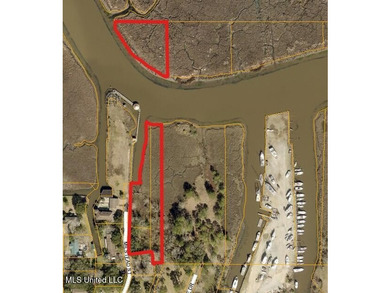 TRUE WATERFRONT DEEP WATER ACCESS PROPERTY ON THE PASCAGOULA - photo 5