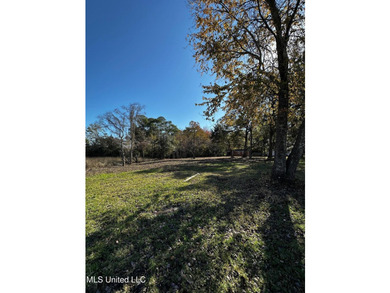 TRUE WATERFRONT DEEP WATER ACCESS PROPERTY ON THE PASCAGOULA - photo 6