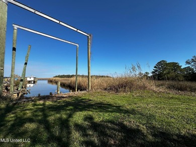 TRUE WATERFRONT DEEP WATER ACCESS PROPERTY ON THE PASCAGOULA - photo 8