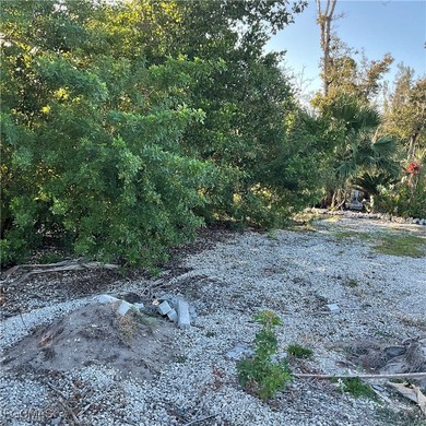 GULF ACCESS LOT ---Located in beautiful Pine Island Cove 55+ - photo 11