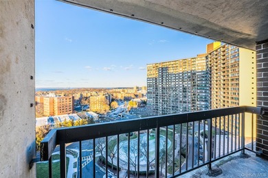 Beautiful high-floor 1-bedroom, 1-bath condo. This bright and - photo 12