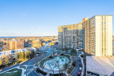 Beautiful high-floor 1-bedroom, 1-bath condo. This bright and - photo 13