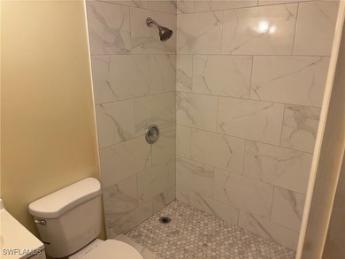 Charming Remodeled 2-Bed, 2-Bath Condo in 55+ Community - Lehigh - photo 14