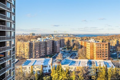 Beautiful high-floor 1-bedroom, 1-bath condo. This bright and - photo 16