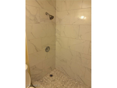 Charming Remodeled 2-Bed, 2-Bath Condo in 55+ Community - Lehigh - photo 17