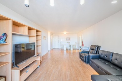 Beautiful high-floor 1-bedroom, 1-bath condo. This bright and - photo 21