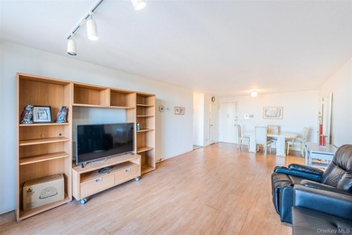 Beautiful high-floor 1-bedroom, 1-bath condo. This bright and - photo 22