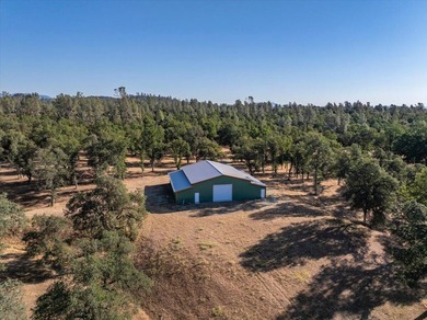 Spanning 748 acres, this remarkable ranch offers the scale - photo 24