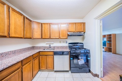 Beautiful high-floor 1-bedroom, 1-bath condo. This bright and - photo 26