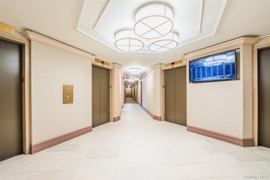 Beautiful high-floor 1-bedroom, 1-bath condo. This bright and - photo 28