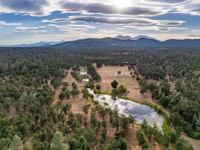 Spanning 748 acres, this remarkable ranch offers the scale - photo 28