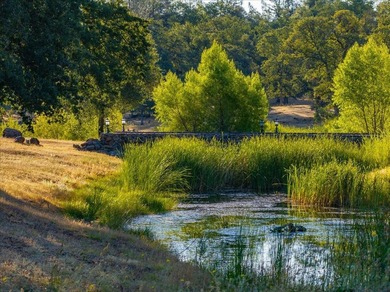 Spanning 748 acres, this remarkable ranch offers the scale - photo 29