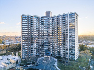 Beautiful high-floor 1-bedroom, 1-bath condo. This bright and - photo 30