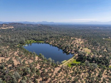 Spanning 748 acres, this remarkable ranch offers the scale - photo 30