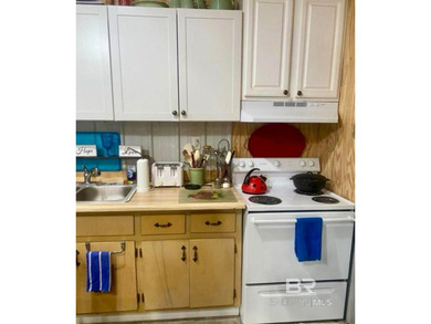 Price to sell at $598,000. Fully renovated coastal property - photo 50
