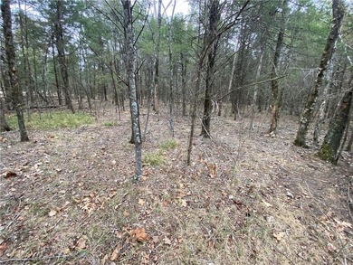 Bull Shoals Lake Lot For Sale in Diamond City Arkansas