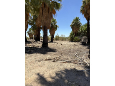 Salton Sea Lake Lot For Sale in Niland California