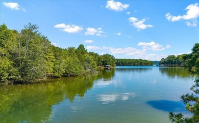 Unrestricted Lakefront Peninsula on 6.86+ Acres - Endless - photo 11