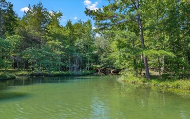 Unrestricted Lakefront Peninsula on 6.86+ Acres - Endless - photo 12
