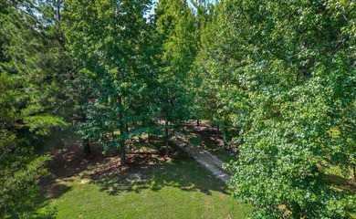 Unrestricted Lakefront Peninsula on 6.86+ Acres - Endless - photo 13