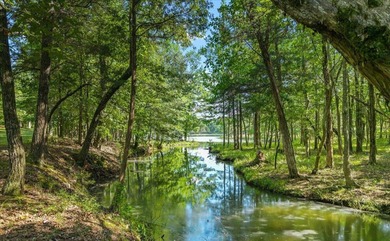 Unrestricted Lakefront Peninsula on 6.86+ Acres - Endless - photo 17