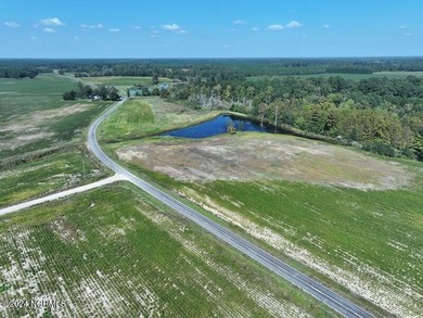 (private lake, pond, coastal) Acreage For Sale in Fairmont North Carolina