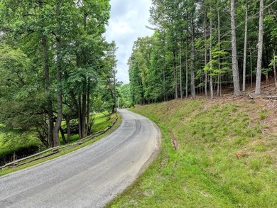 Build your North Georgia dream home on this beautiful 0.98-acre - photo 3