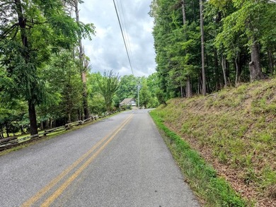Build your North Georgia dream home on this beautiful 0.98-acre - photo 4