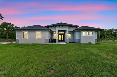 This beautiful 2 year old home has it all with a den, situated - photo 2