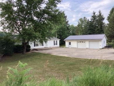 Lake Home For Sale in Leroy, Michigan