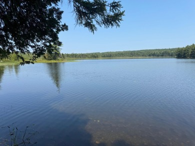 Western Lake Acreage For Sale in Robbinston Maine