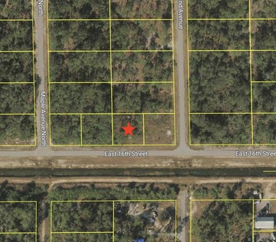 Lehigh Acres Area Lot For Sale in Lehigh Acres Florida