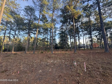 This luxury custom home will be built on TWO lots in Forest - photo 32