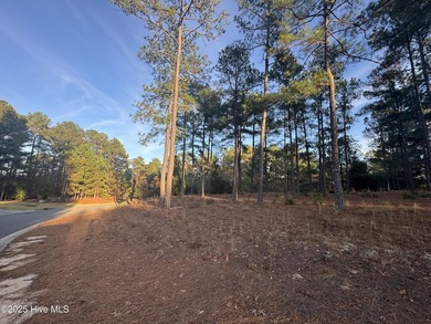 This luxury custom home will be built on TWO lots in Forest - photo 33