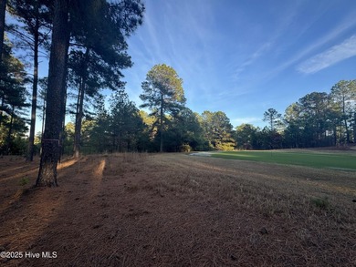 This luxury custom home will be built on TWO lots in Forest - photo 34