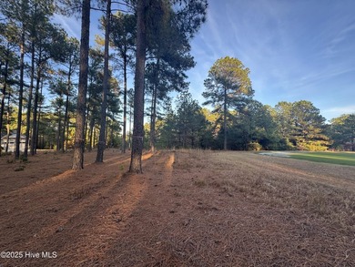 This luxury custom home will be built on TWO lots in Forest - photo 35