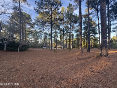 This luxury custom home will be built on TWO lots in Forest - photo 36
