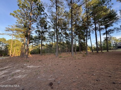 This luxury custom home will be built on TWO lots in Forest - photo 37