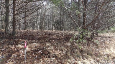 (private lake, pond, creek) Acreage For Sale in Spencer Tennessee