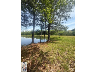 Lake Lot For Sale in Buchanan, Tennessee