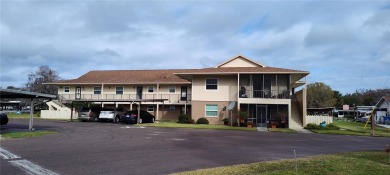 St. Johns River - Lake County Condo For Sale in Astor Florida