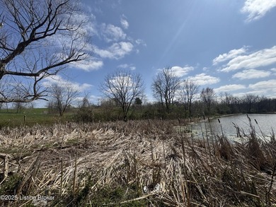 This property consists of approx. 4.57 acres. Building site and - photo 11