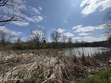 This property consists of approx. 4.57 acres. Building site and - photo 12