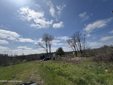 This property consists of approx. 4.57 acres. Building site and - photo 15