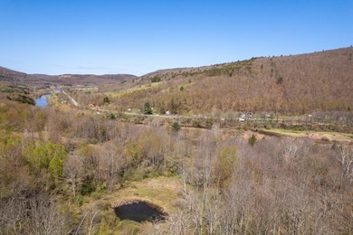 Just over 11 acres of gently sloping land with town-maintained - photo 7