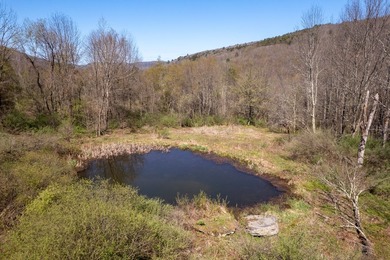 Just over 11 acres of gently sloping land with town-maintained - photo 8