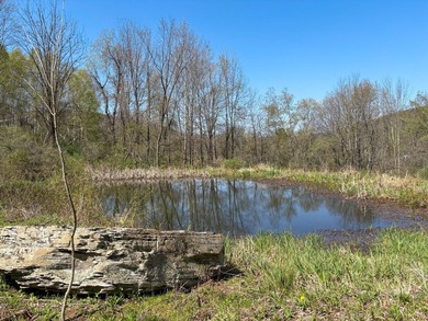 Just over 11 acres of gently sloping land with town-maintained - photo 9