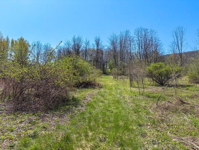 Just over 11 acres of gently sloping land with town-maintained - photo 10